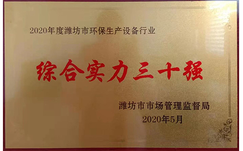 综合实力三十强