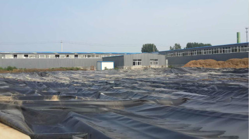 黑膜沼气工程在施工时有哪些问题需要我们注意?