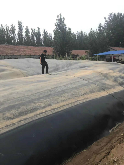 在使用黑膜沼气池过程中，这些安全问题不容小觑。
